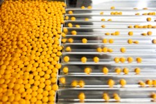 Pharmaceutical industry