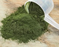 Hawaiian spirulina powder spilling of a plastic measuring scoop,