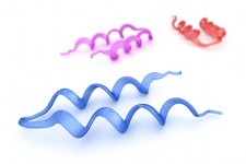 protein-structure