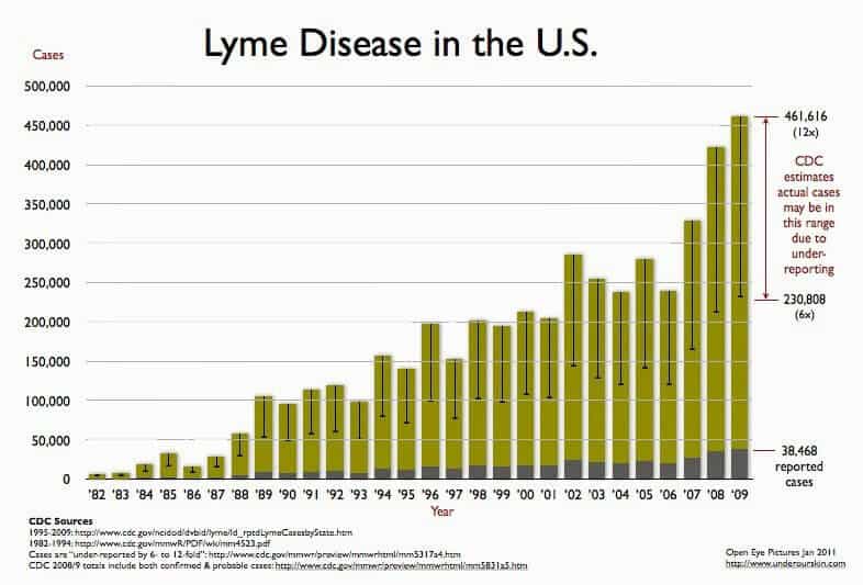 Natural Remedies For Lyme Disease Natural Remedies For Lyme Disease