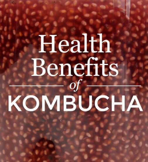 Modified Foods (GMO) Linked to Tumors, Allergies and Early