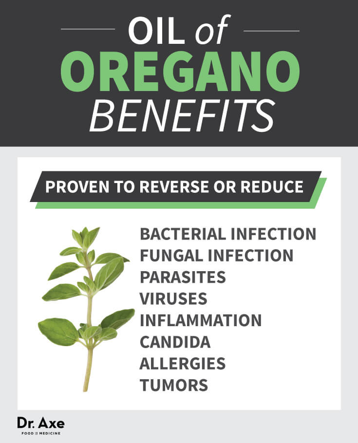 Oregano Oil Benefits Superior To Prescription Antibiotics