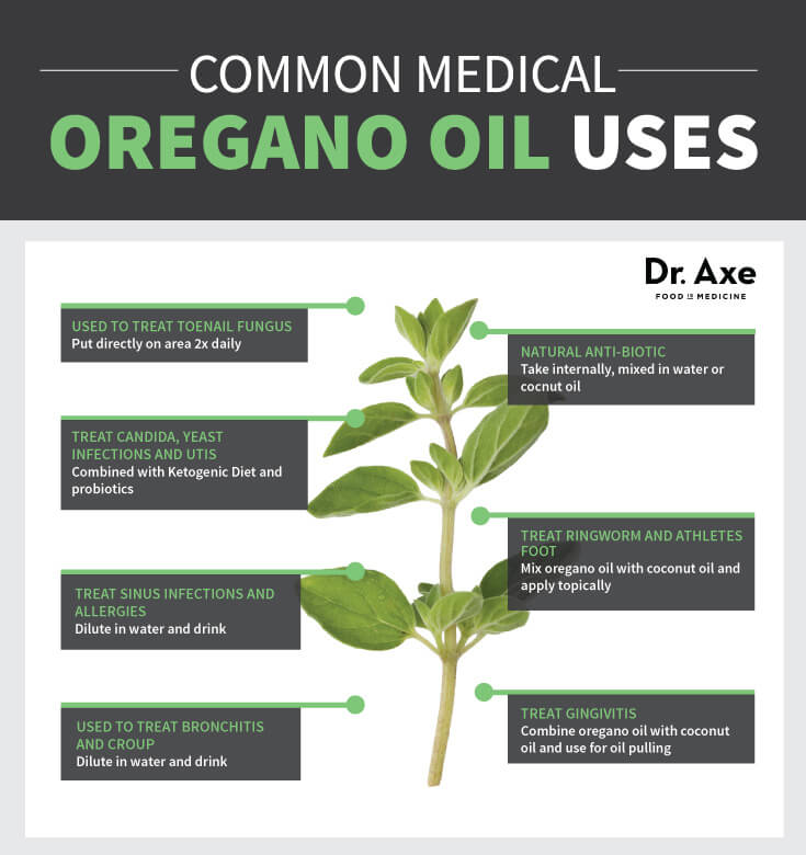 Oregano Oil Health Uses Chart Natural Medicine 