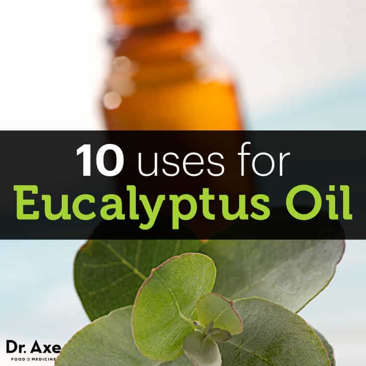 Top 10 Eucalyptus Oil Uses and Benefits