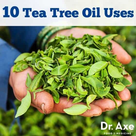 Top 10 Tea Tree Oil Uses and Benefits Dr. Axe