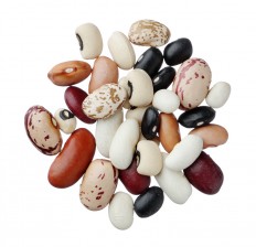 Dried Beans