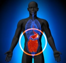 Human Digestive System Virtual illustration 
