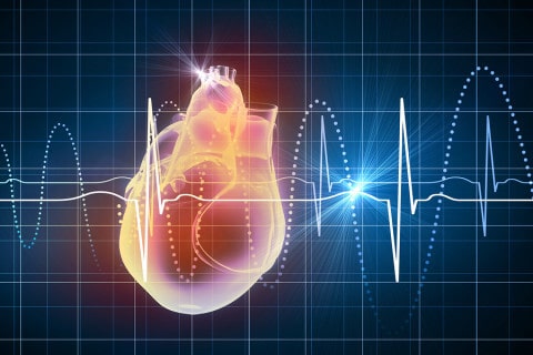 human heart with cardiogram
