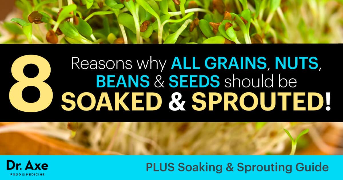 SPROUT GUIDE: How to sprout grains, nuts and beans