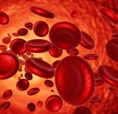 Red Blood Cells