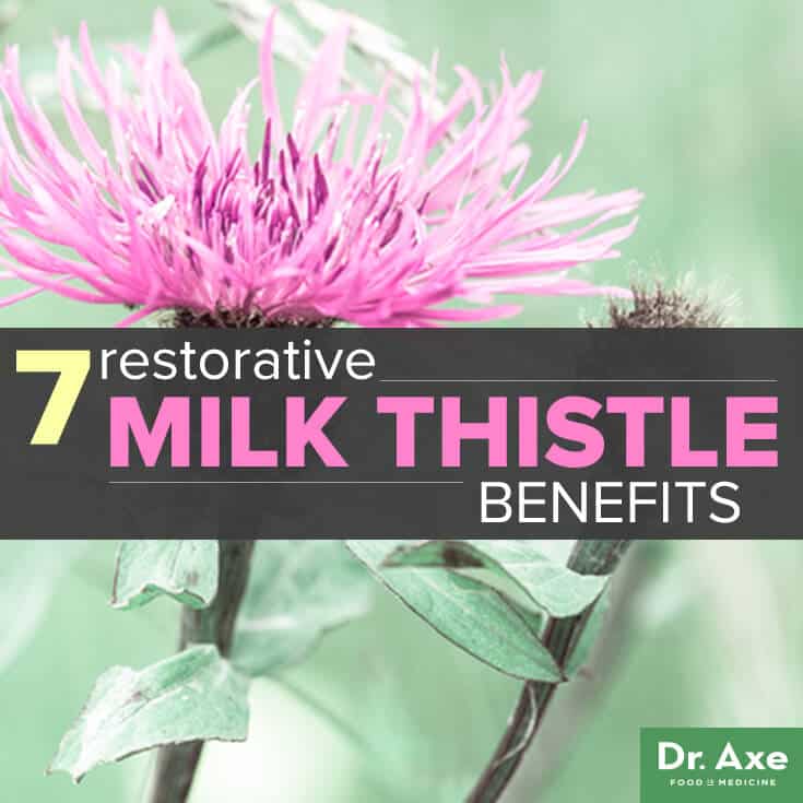 7 Restorative Milk Thistle Benefits Dr. Axe
