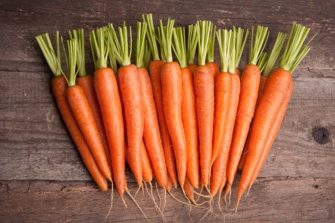 Bunch of carrots 480x320