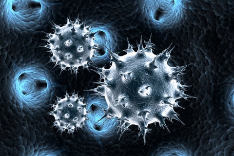 virus 3d image