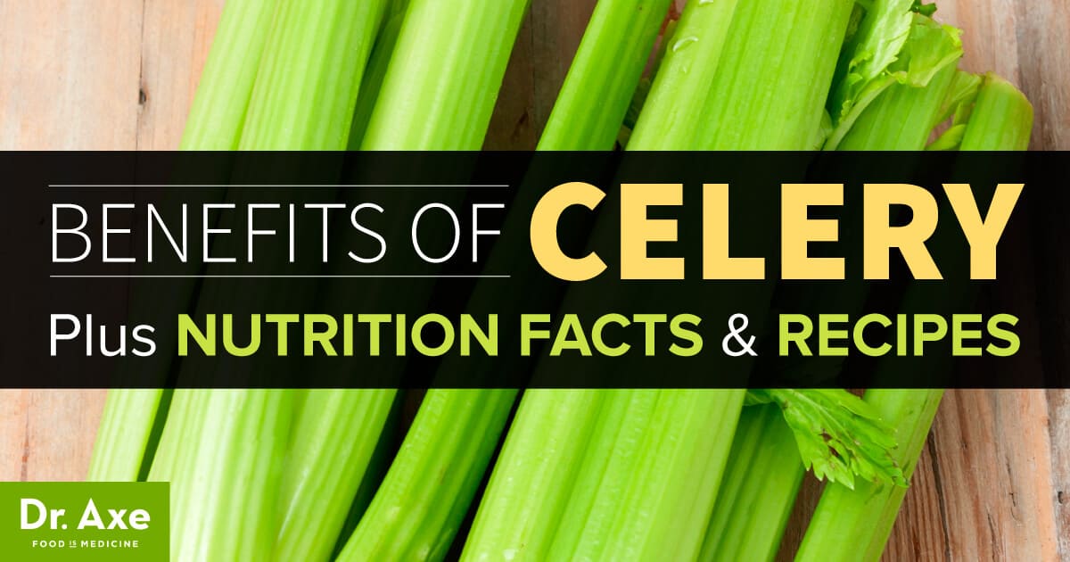 10 Benefits of Celery + Nutrition Facts and Recipes Dr. Axe