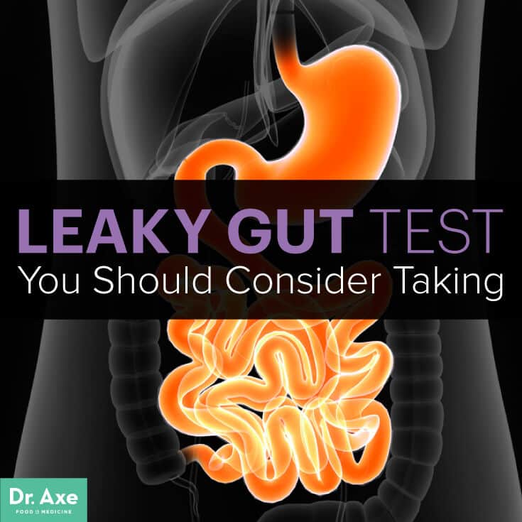 Leaky Gut Test You Should Consider Taking - Dr. Axe