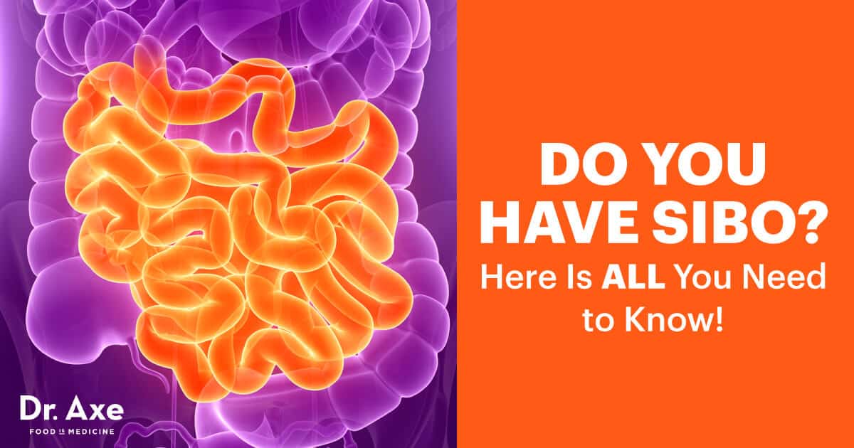 Do You Have SIBO? Here is ALL You Need to Know! Dr. Axe