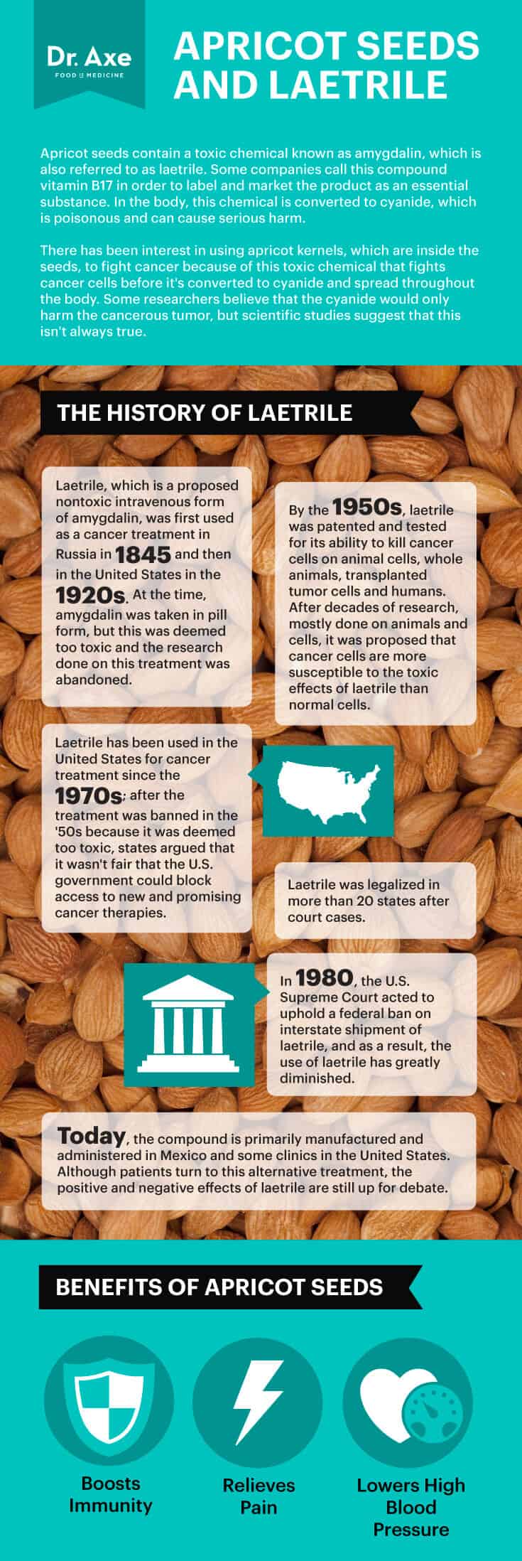 Apricot Kernels Health Benefits Dr Axe At Andrew Gillan Blog Apricot Kernels Health Benefits Dr Axe At Andrew Gillan Blog