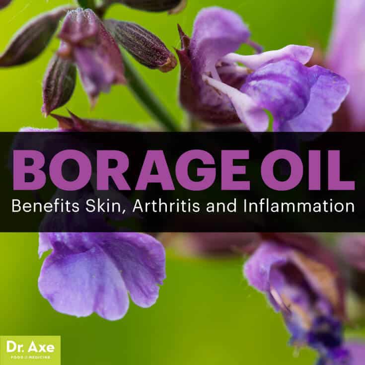 Borage oil - Dr. Axe