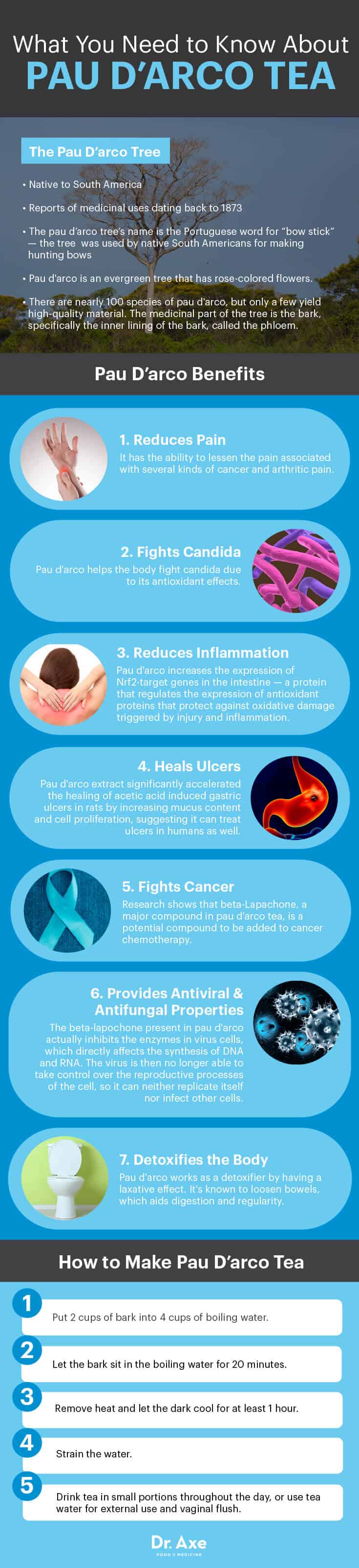 Pau D'arco Tea — Fights Candida, Cancer & Inflammation Dr. Axe