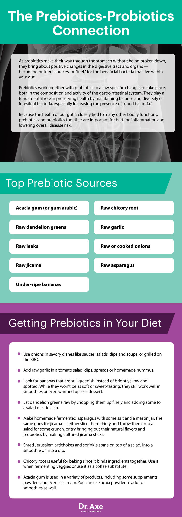 Prebiotics-probiotics connection - Dr. Axe