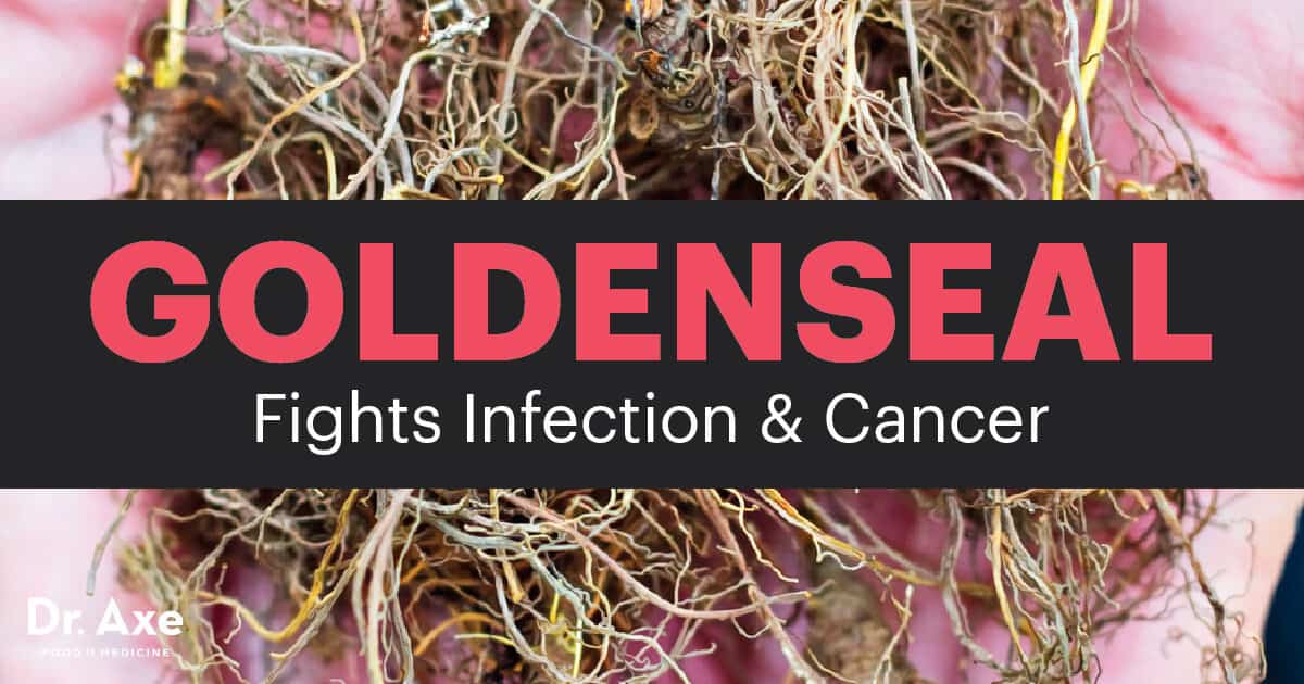 Goldenseal A Natural Antibiotic & Cancer Fighter Dr. Axe
