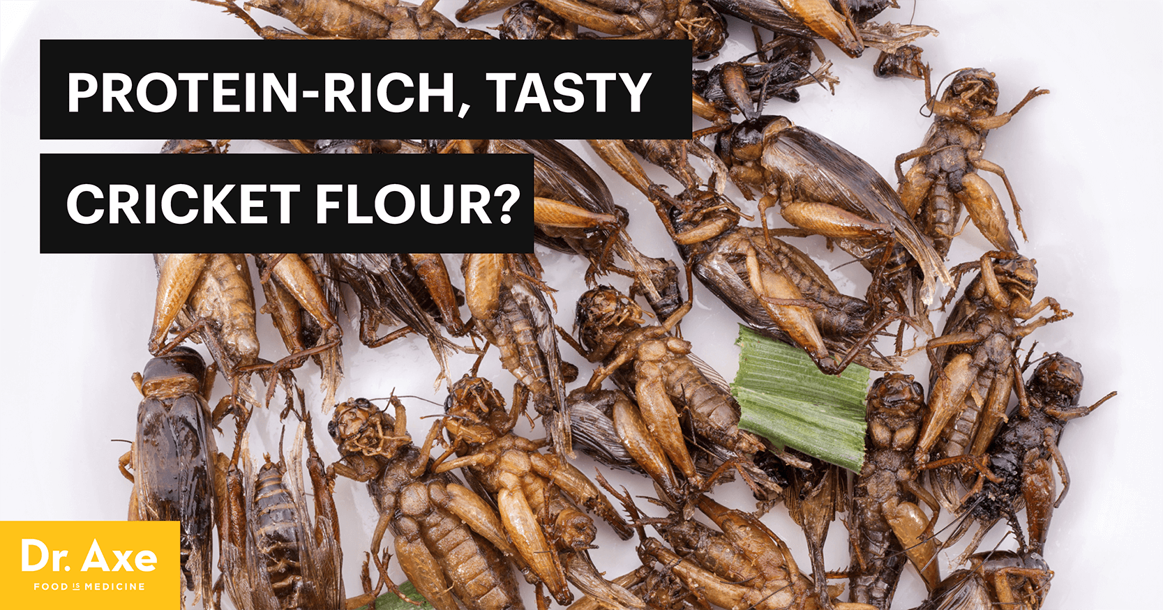 Cricket Flour Has 3x More Protein Than Steak Dr. Axe