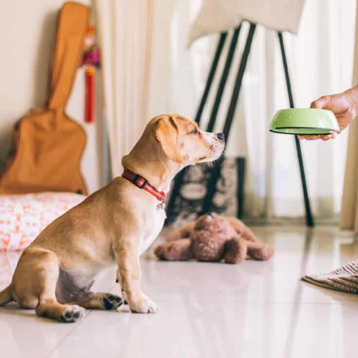 How to Get Rid of Vertigo Dr. Axe