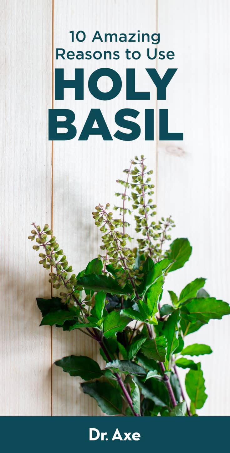 Holy Basil Benefits Hot Sex Picture