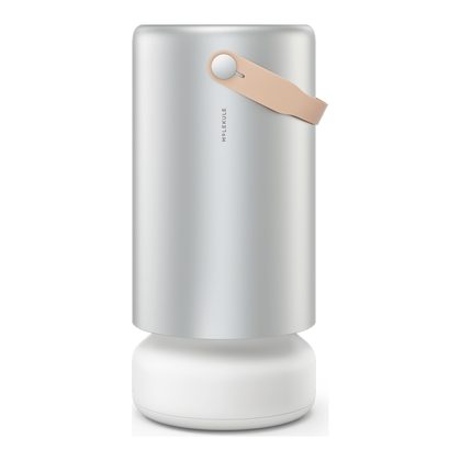 Molekule Air Pro