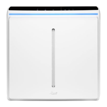 Rabbit Air A3