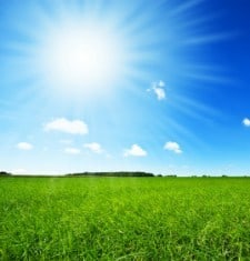 Vitamin D sunshine, grassy field