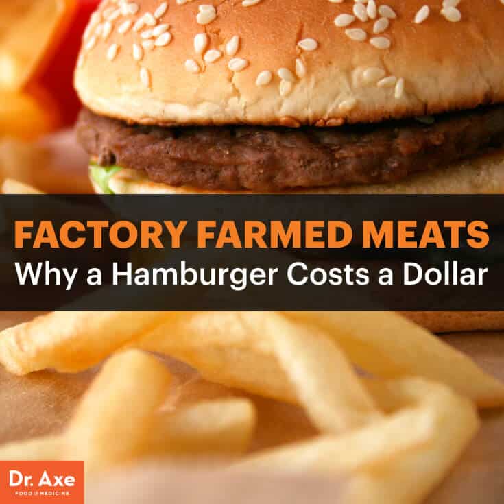 Factory Farmed Meats - Dr.Axe
