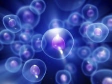 Free Radical Damage Free Radicals