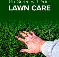 Green lawn care - Dr. Axe