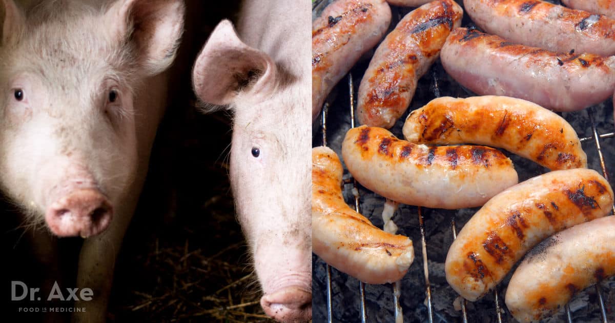 Why You Should Avoid Pork, Pork Problems & Pork Alternatives Dr. Axe