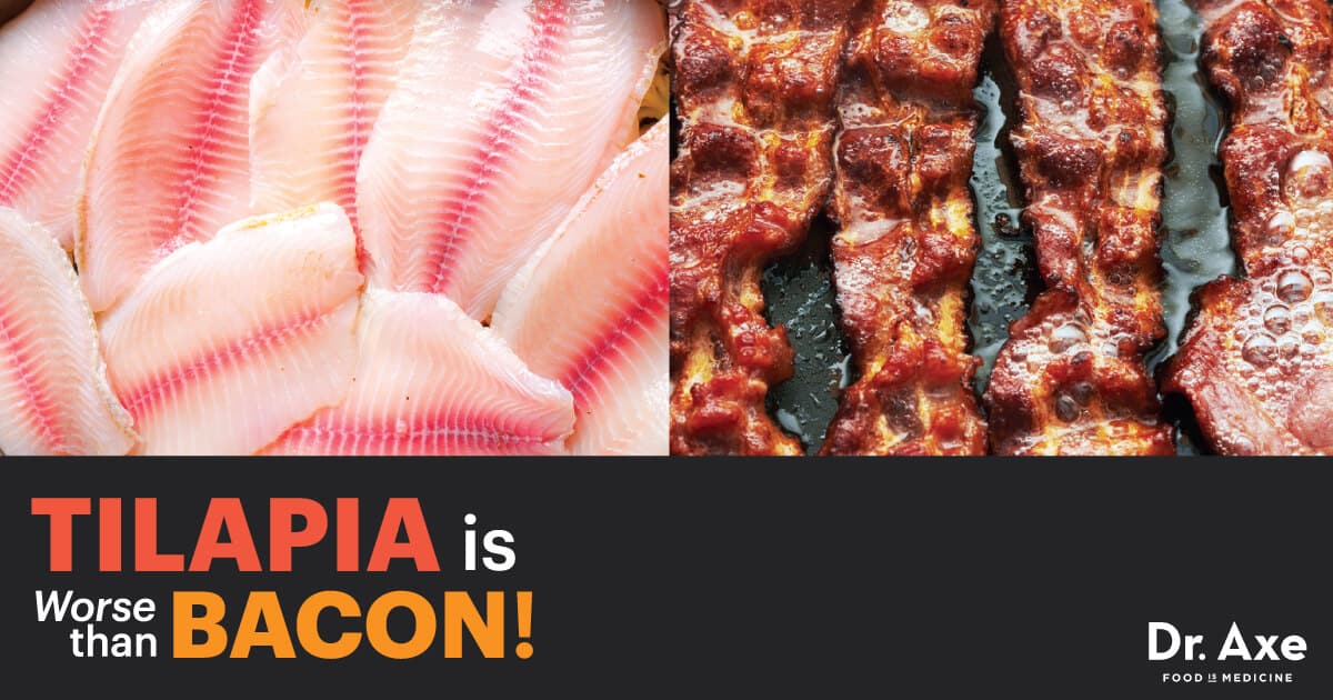 Eating Tilapia is Worse Than Eating Bacon