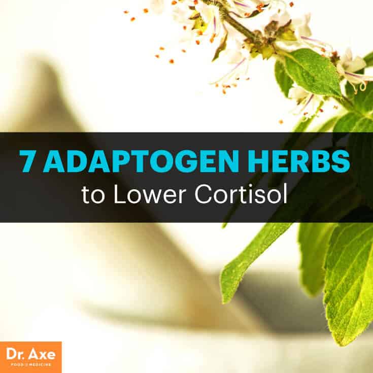 7 Adaptogen Herbs to Lower Cortisol - Dr.Axe