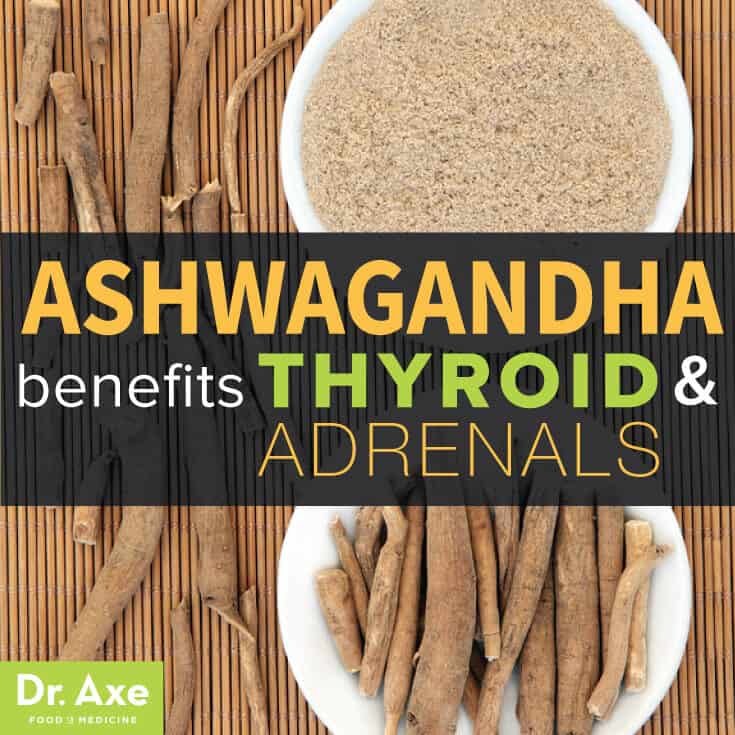 Ashwagandha Benefits Thyroid And Adrenals Dr Axe