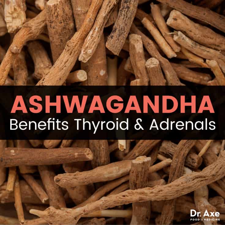 Ashwagandha - Dr. Axe