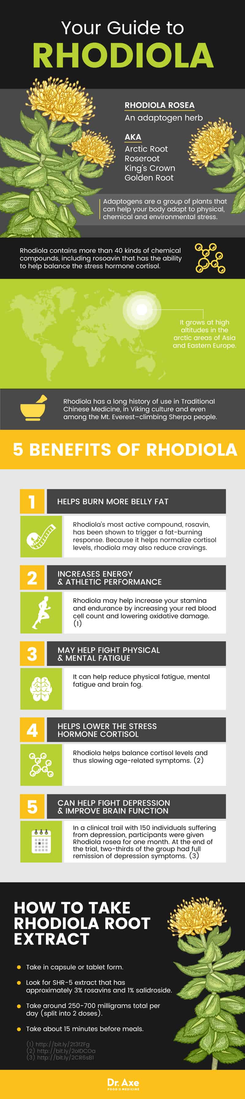 Guide to rhodiola - Dr. Axe