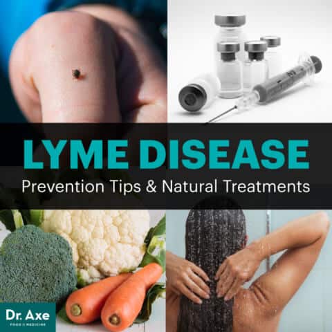 Lyme Disease Treatment Options Causes How To Prevent Dr Axe Lyme Disease Treatment Options Causes How To Prevent Dr Axe