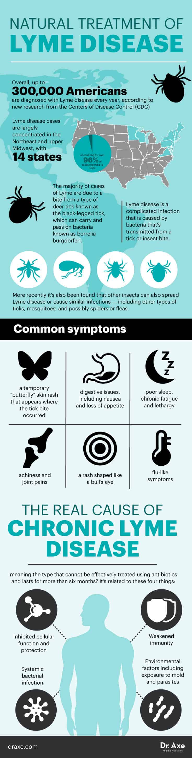 Lyme disease symptoms - Dr. Axe