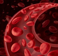 Red Blood Cells Circulation