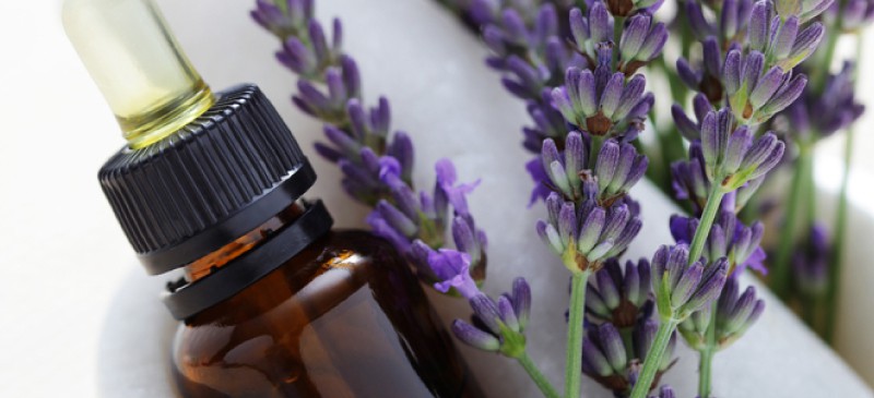Essential Oils for Your Immune System - Holistic Meaning