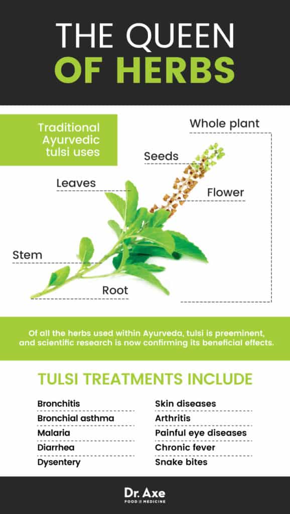 Holy Basil Benefits Cortisol Levels + Reduces Anxiety Dr. Axe