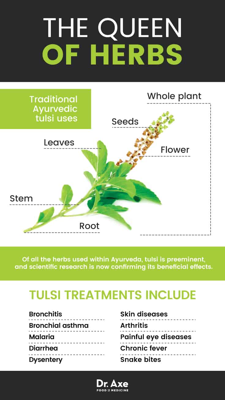 Guide to holy basil - Dr. Axe