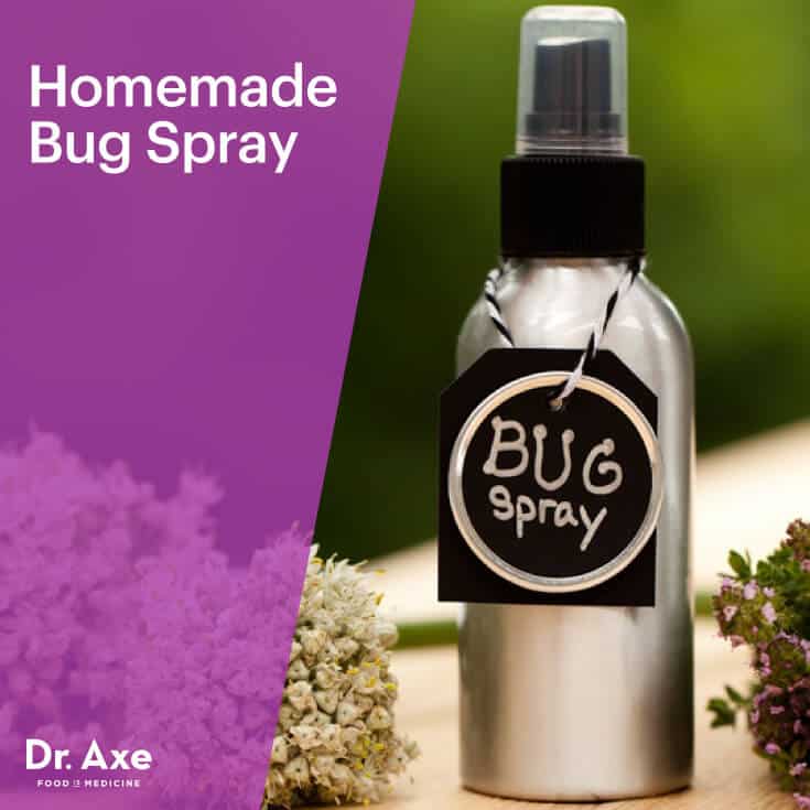 Homemade Bug Spray- Dr. Axe