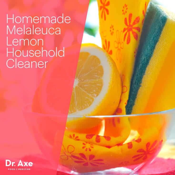 Homemade Melaleuca Lemon Household Cleaner - Dr.Axe