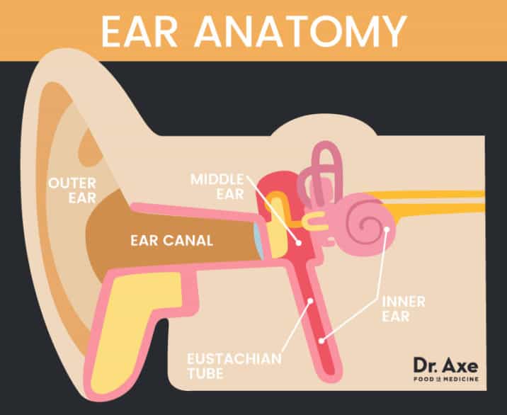 Ear Infection Remedies & Natural Treatments Dr. Axe