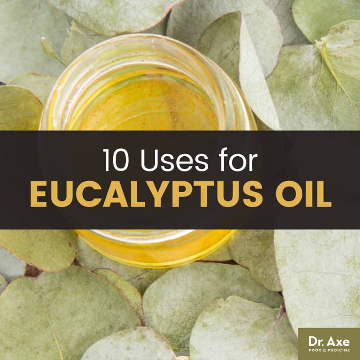 Top 10 Eucalyptus Oil Uses And Benefits - DrAxe.com